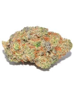 Georgia Pie Strain – Private Reserve