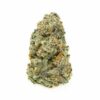 Purple Punch