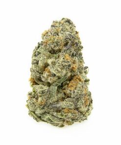 Purple Punch