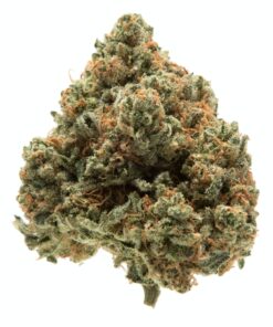 Kosher Dawg – Private Reserve