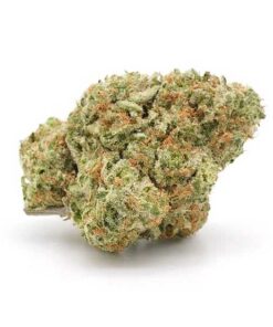 Banana Punch