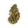 Banana Tangie strain