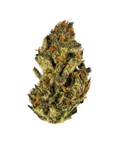 Banana Tangie strain