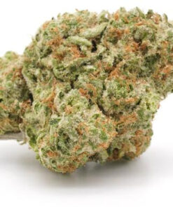 Oreoz Strain