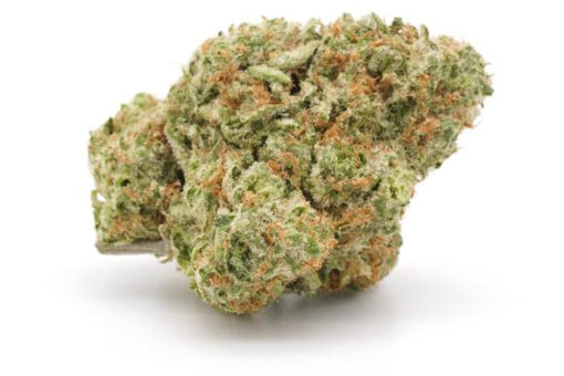 Oreoz Strain