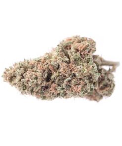 Blackberry Strain