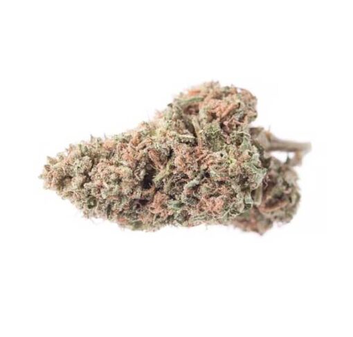 Blackberry Strain
