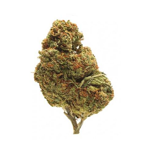Lemon Cherry Gelato
