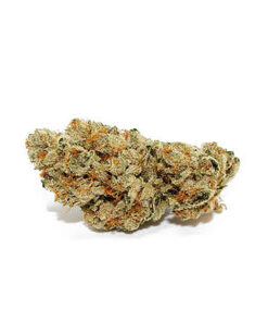 Double Barrel OG