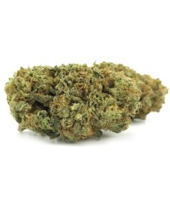 Juicy Fruit
