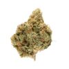 King Louis XIII