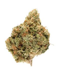 King Louis XIII