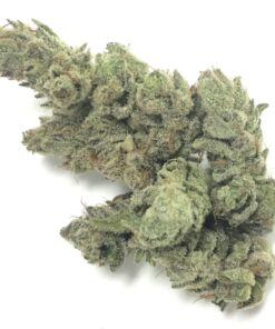 Gorilla Glue