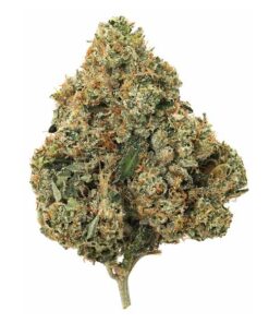 Mars OG