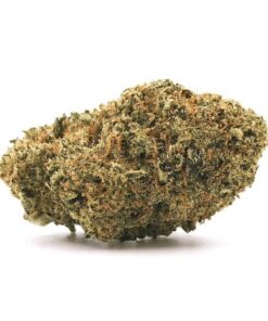 Master Yoda – Private Reserve