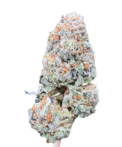 Mimosa – Private Reserve