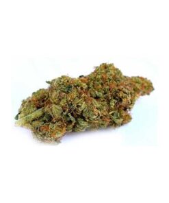 Orange Cookies – Private Reserve