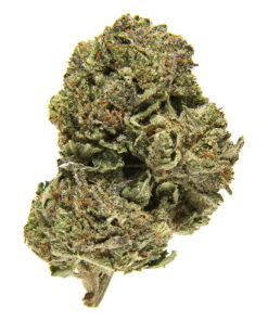Platinum Bubba