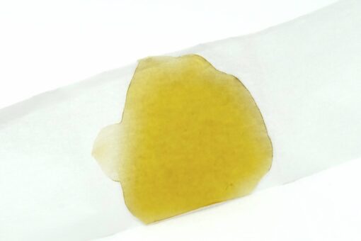 Rolling Up Shatter – Platinum Bubba 1g