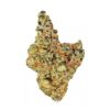 Gelonade Strain