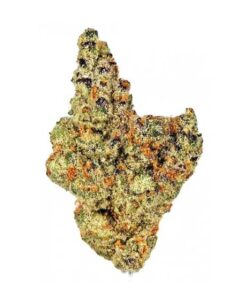 Gelonade Strain