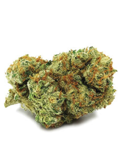 Jungle Cake