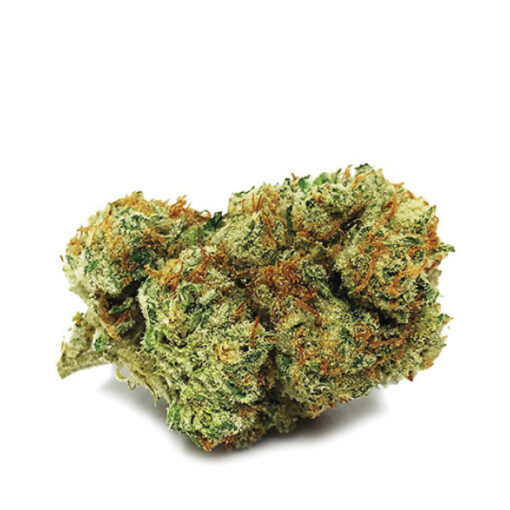 Jungle Cake