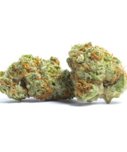Papaya Punch