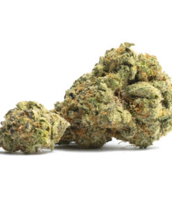 Orange Cookies – Top