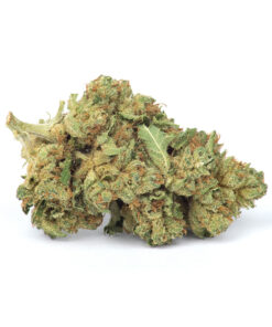 Skywalker Kush – Top