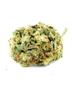 Sour Diesel – Top