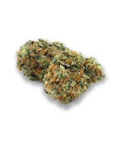 Sour Tangie – Mid