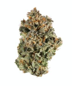 Sunset Sherbert – Private Reserve