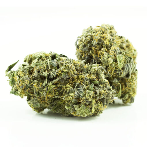 White Truffle Strain