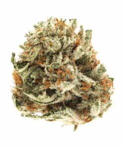Gelato – Private Reserve