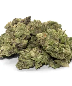 Buy Grand Daddy Purple Weed Strain Online in Massachusetts