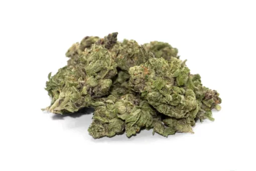 Buy Grand Daddy Purple Weed Strain Online in Massachusetts