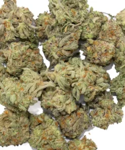 Buy Ghost Train Haze Weed Strain Online in Massachusetts