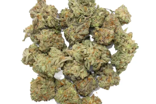 Buy Ghost Train Haze Weed Strain Online in Massachusetts